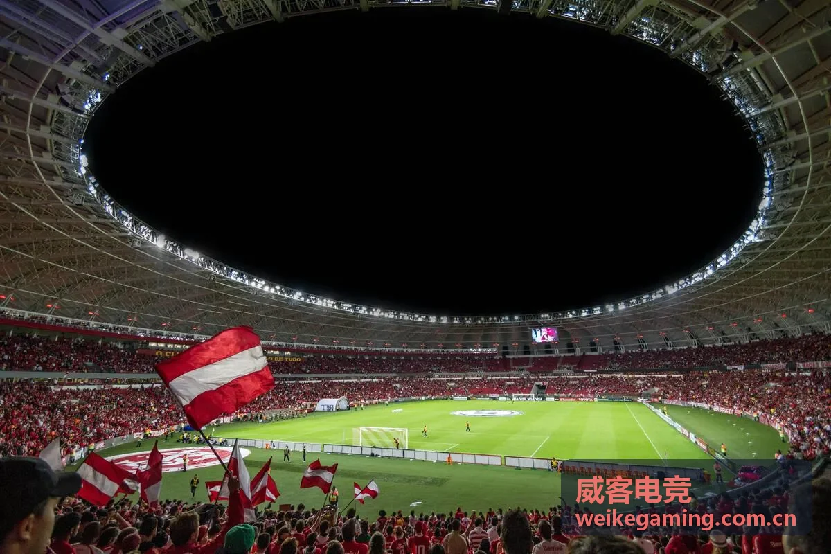 威客电竞品牌定制赛